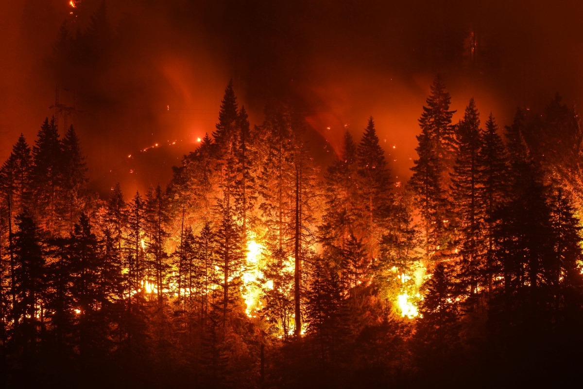 Preparing For Wildfires and What Your Need to Know