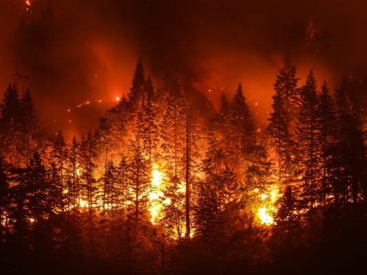 Preparing For Wildfires and What Your Need to Know